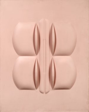 Rosa 1964