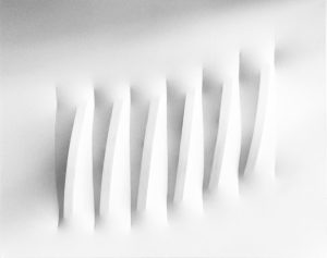 Bianco 1975