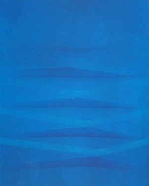 Blu 1979