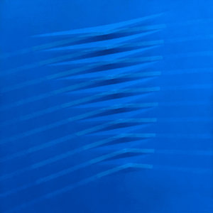 Blu 1979