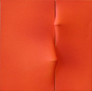 Rosso 1981