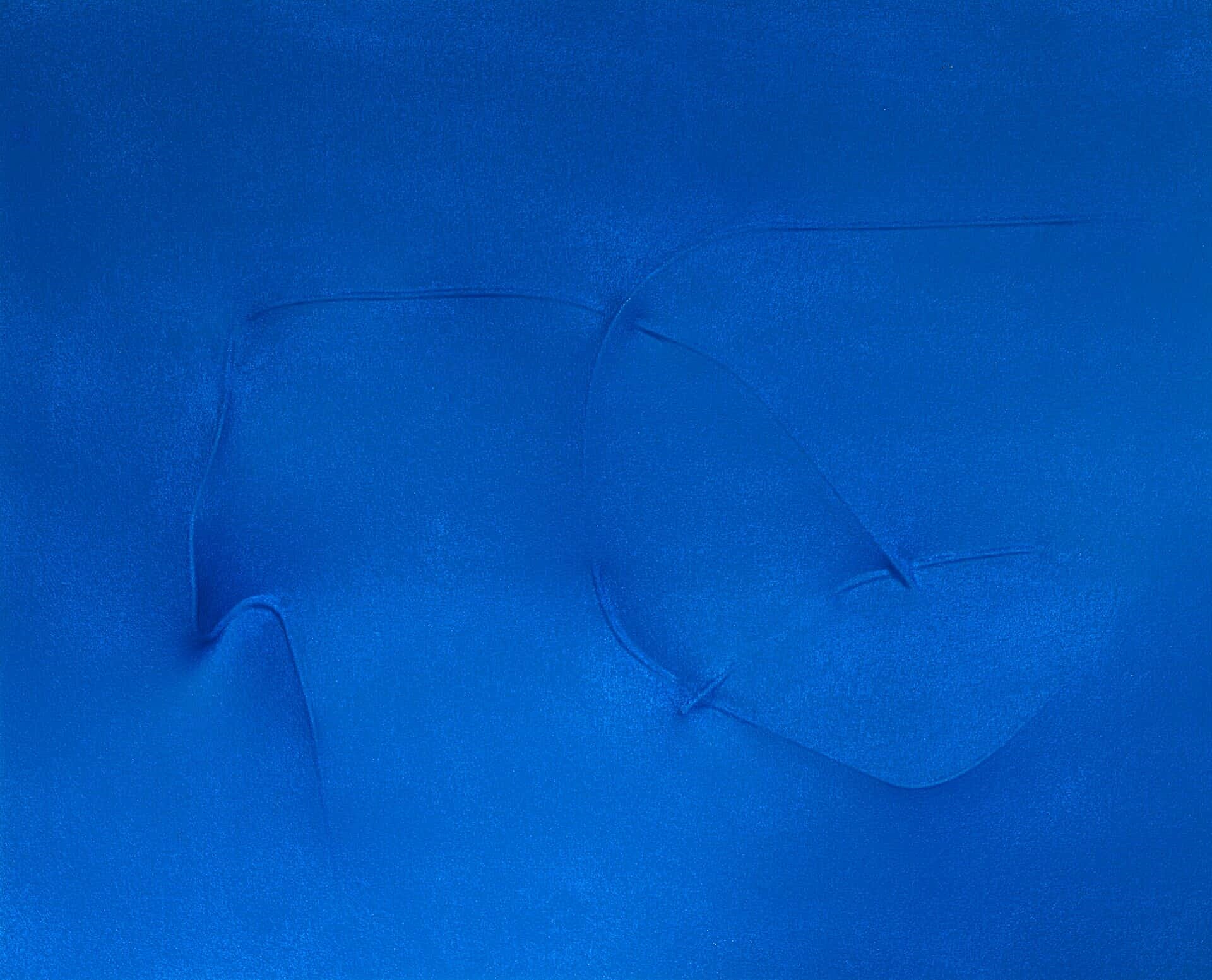 Blu 1993