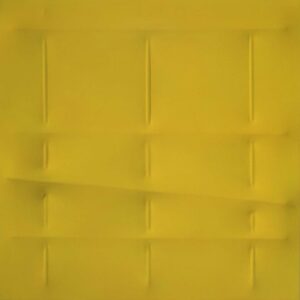 Giallo 2006