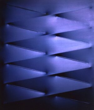 Blu 2007