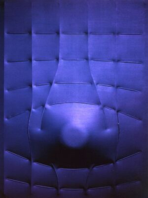 Blu 2007