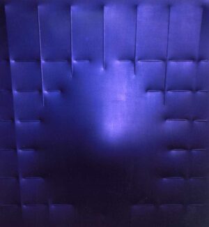 Blu 2007