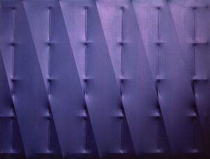 Blu 2007