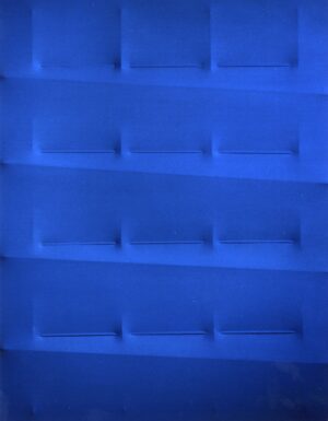 Blu 2007