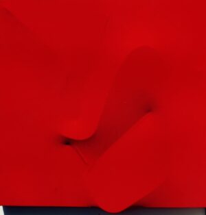 Rosso 2007