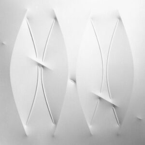 Bianco 2007