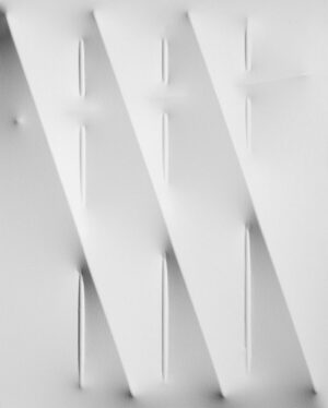 Bianco 2007