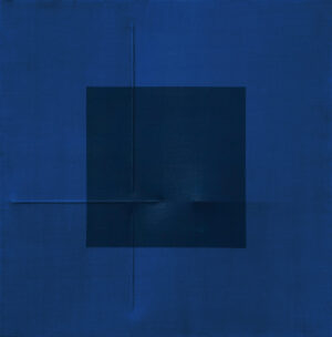 Blu 2008