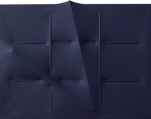 Blu 2008