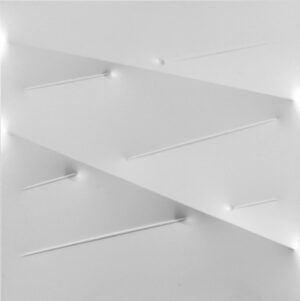 Bianco 2008