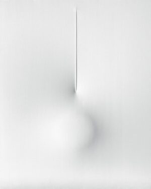 Bianco 2008