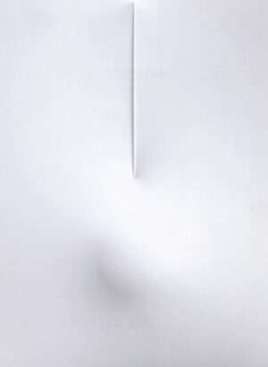 Bianco 2008