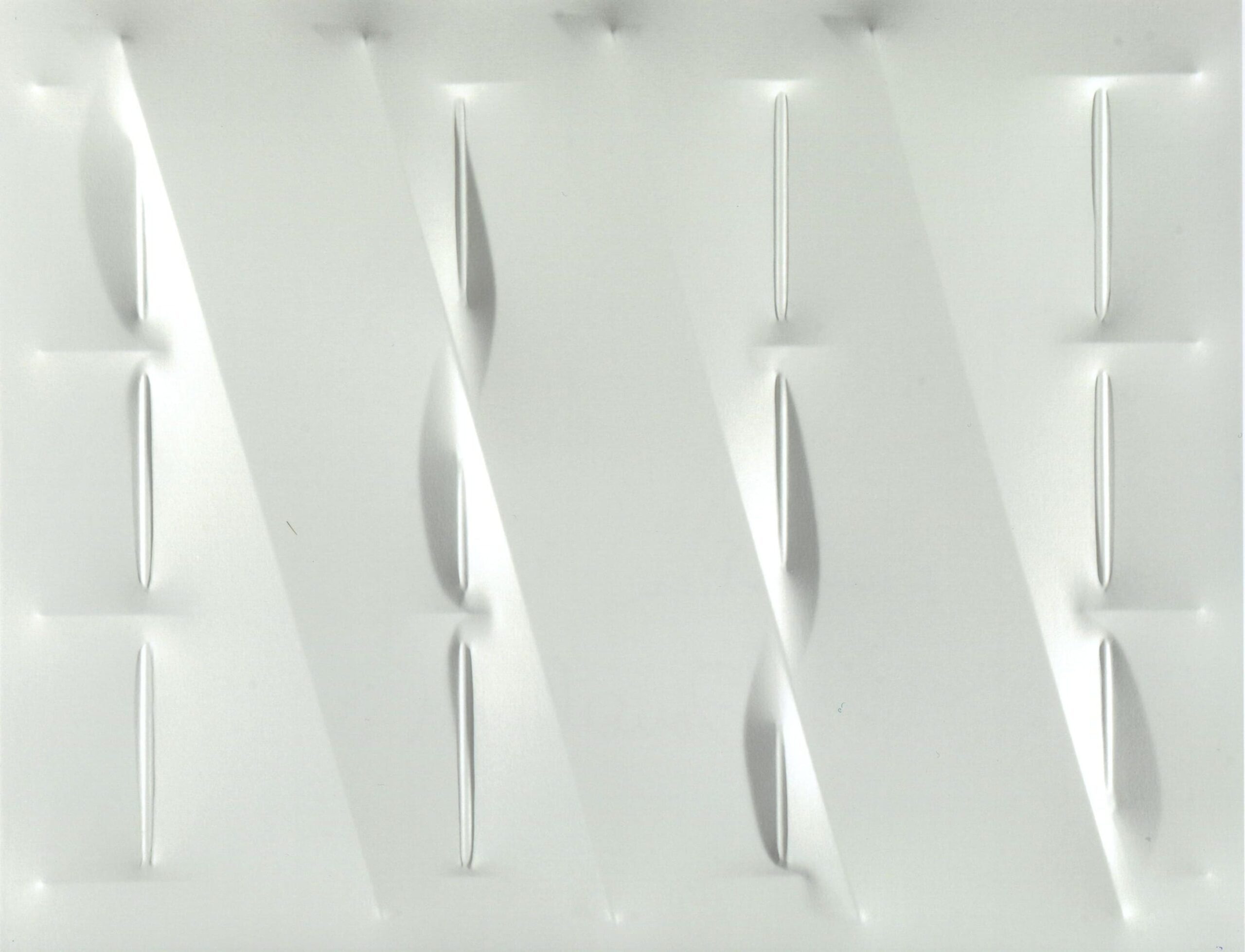 Bianco 2008