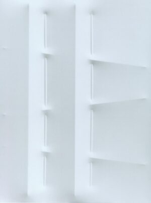 Bianco 2009