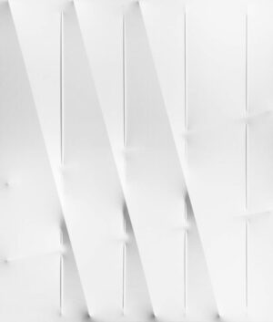 Bianco 2009