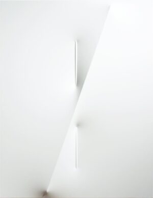 Bianco 2009
