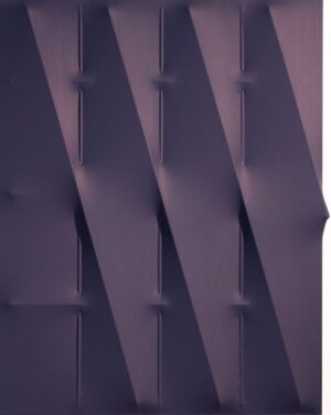 Blu 2009
