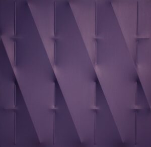 Blu 2009