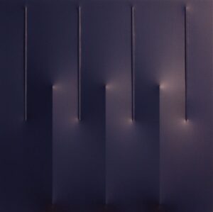 Blu 2009