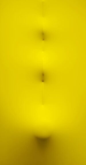 Giallo 2009