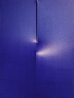 Blu 2010