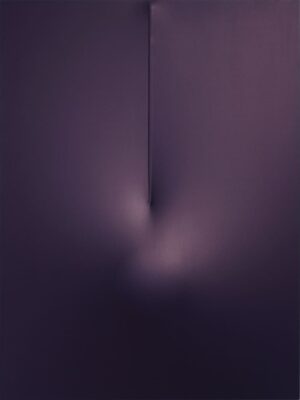 Blu 2010