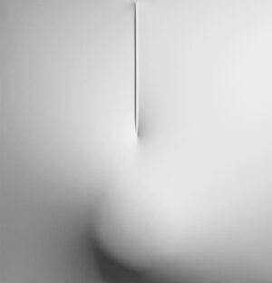 Bianco 2010