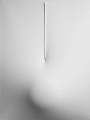 Bianco 2010