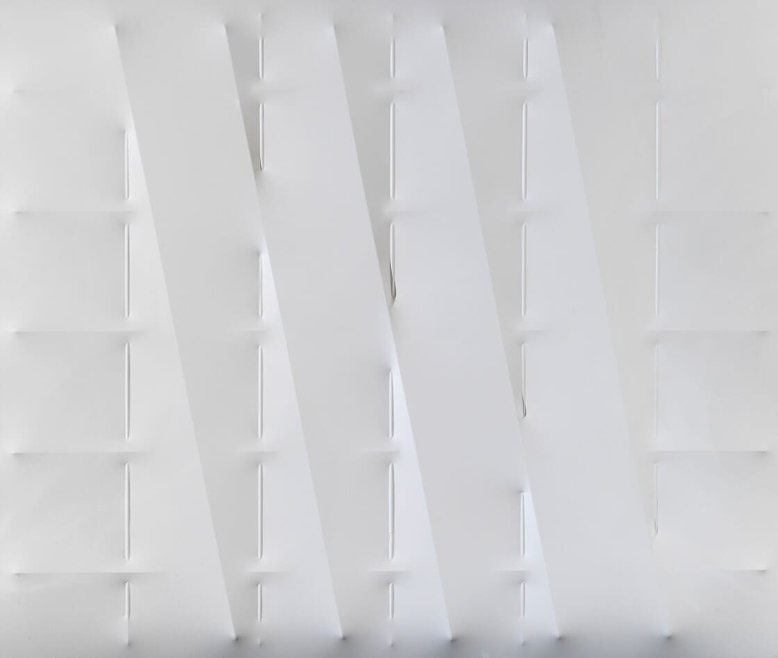 Bianco 2011