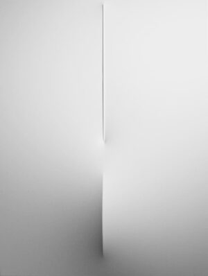 Bianco 2011