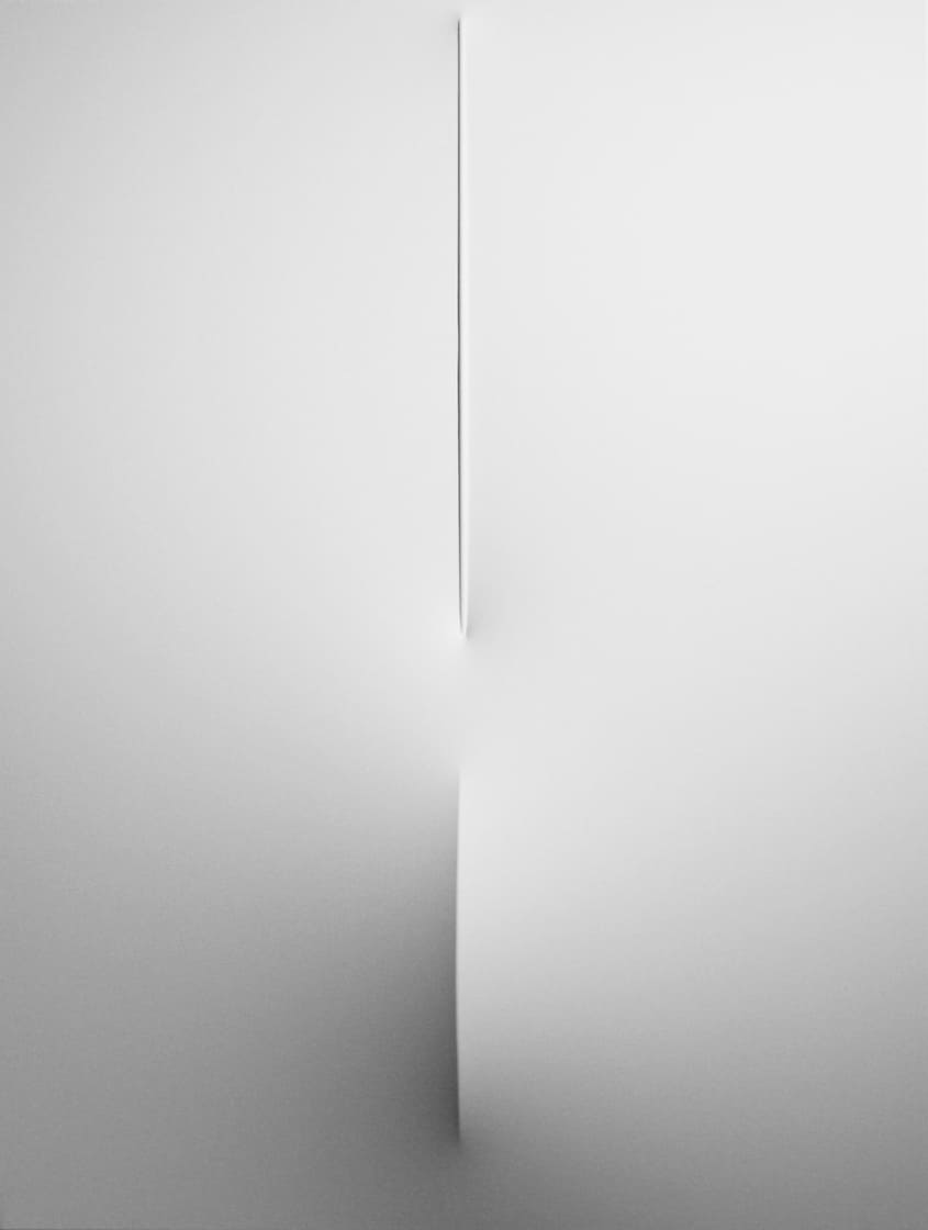 Bianco 2011