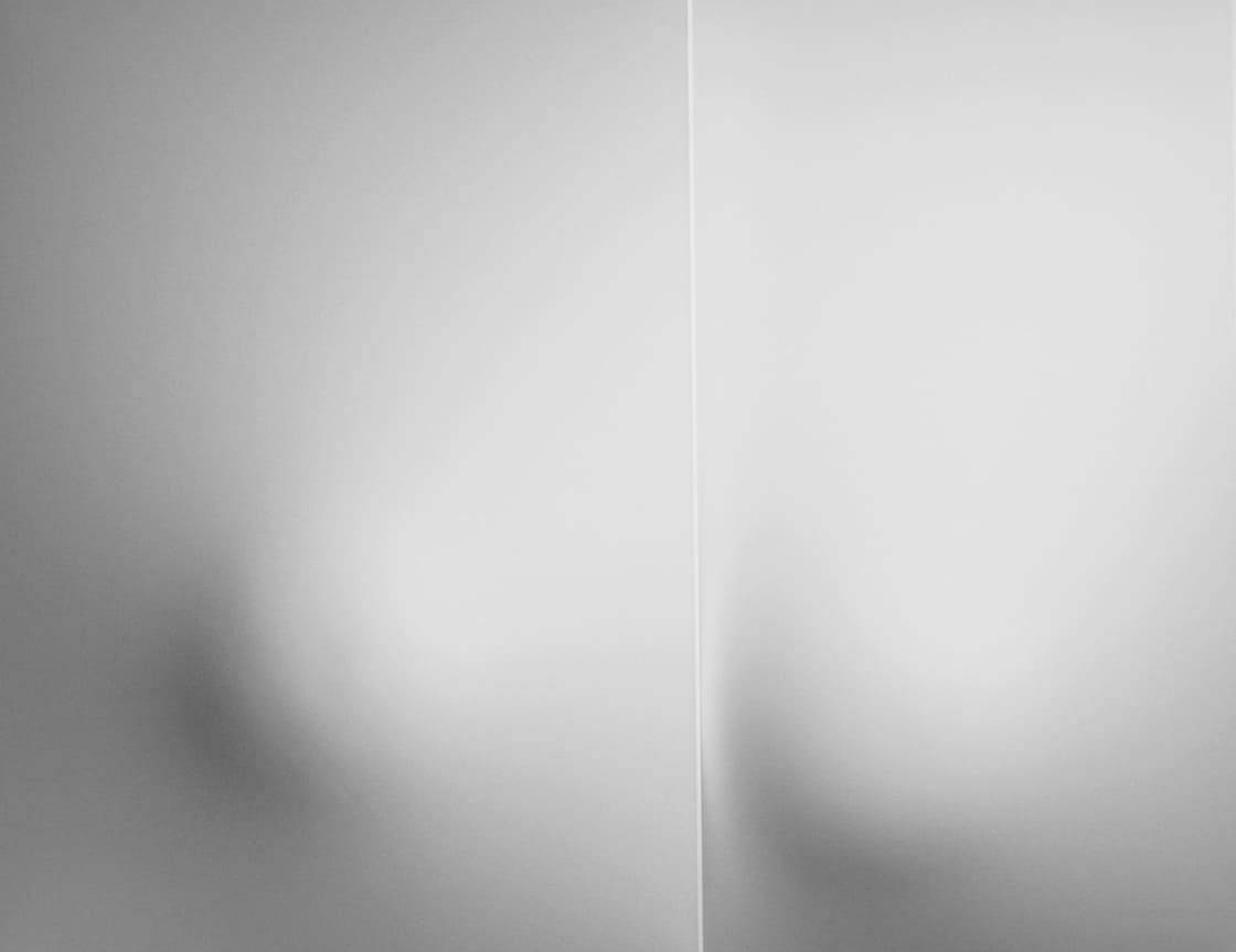 Bianco 2011