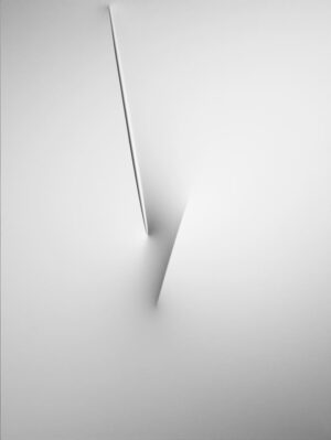 Bianco 2011