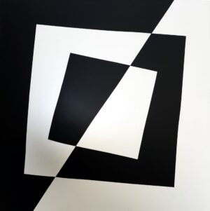 Bianco e nero 2011