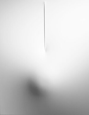 Bianco 2011