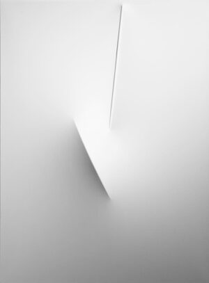 Bianco 2011