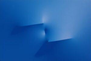 Blu 2011