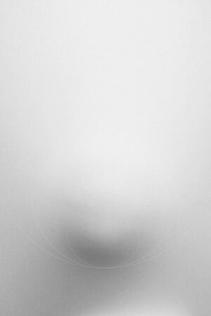 Bianco 2012