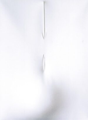 Bianco 2012