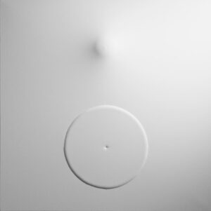 Bianco 2012