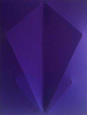 Viola 2013