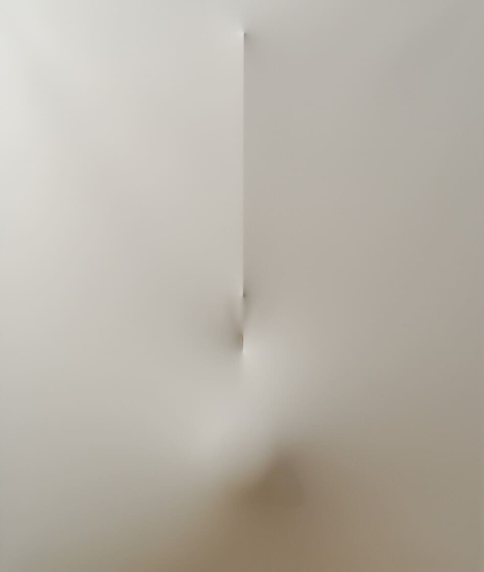 Bianco 2013