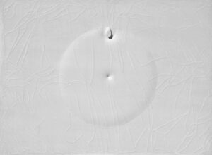 Bianco 1964