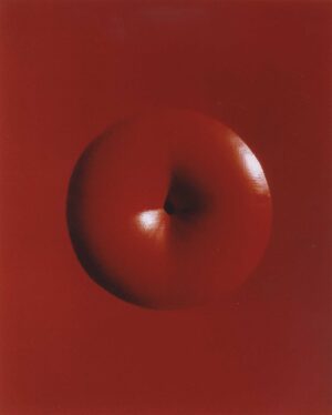 Rosso 1965