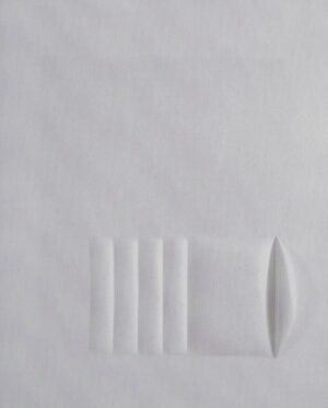Bianco 1966