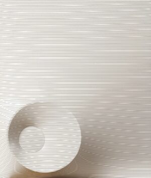 Bianco e nero 1968
